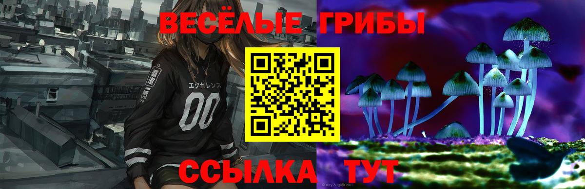 Обнинск  Галлюциногенные грибы мицелий  Вход с VPN 