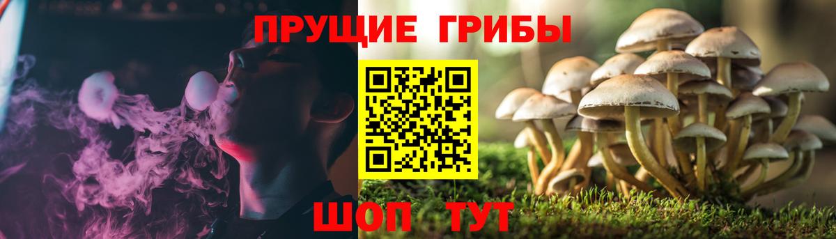 Галлюциногенные грибы Cubensis Обнинск